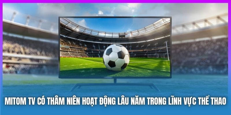 Mitom TV có thâm niên hoạt động lâu năm trong lĩnh vực thể thao